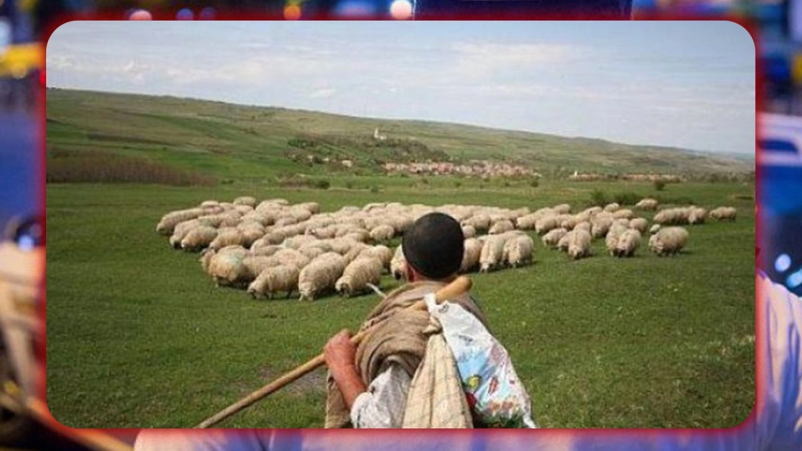 Crimă sângeroasă în comuna Șipote! Petru și-a omorât angajatul după ce l-a snopit în bătaie: „L-a căutat nervos și a zis că, dacă-l prinde, îl bate”