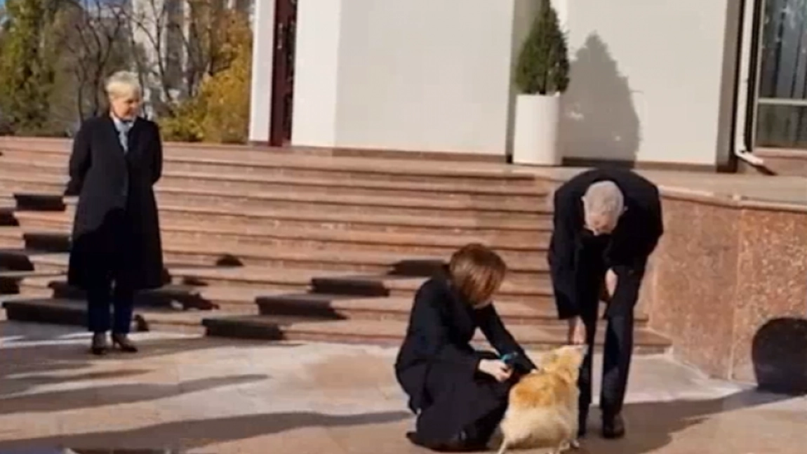 Președintele Austriei, mușcat de mână de câinele Maiei Sandu, Codruț - VIDEO