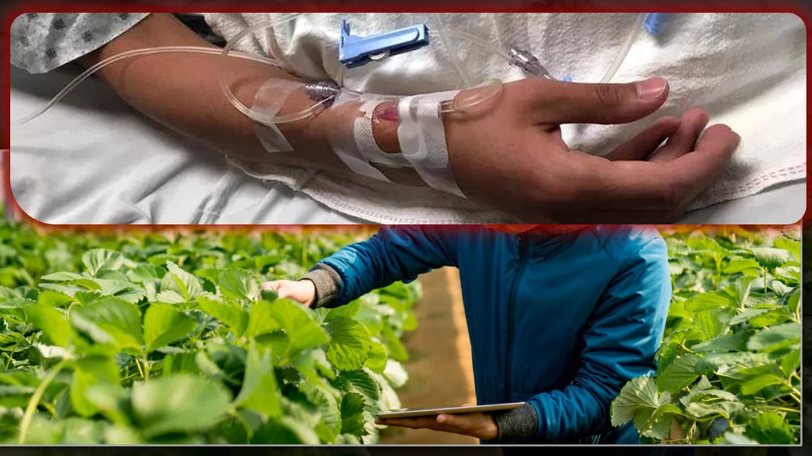Un producător agricol din Iași a fost la un pas de a fi executat. Iată de la ce a pornit totul - FOTO