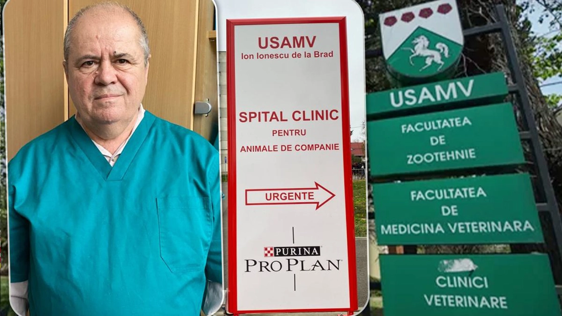 Unul dintre cei mai cunoscuți medici veterinari din Iași vorbește despre începuturile sale în carieră: „Am lucrat sezonier în marele complex de porci de la Căzănești” - FOTO