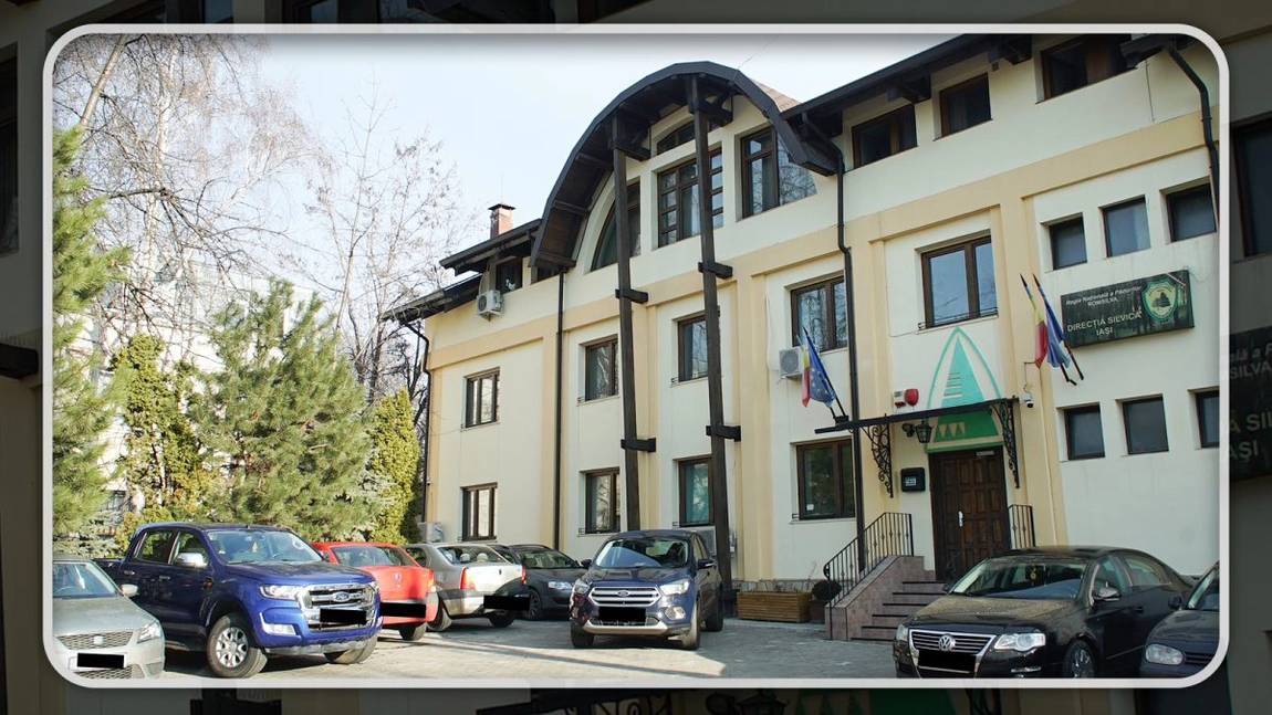 Un nou drum forestier va fi amenajat în județul Iași! Costurile sunt de 500.000 de euro