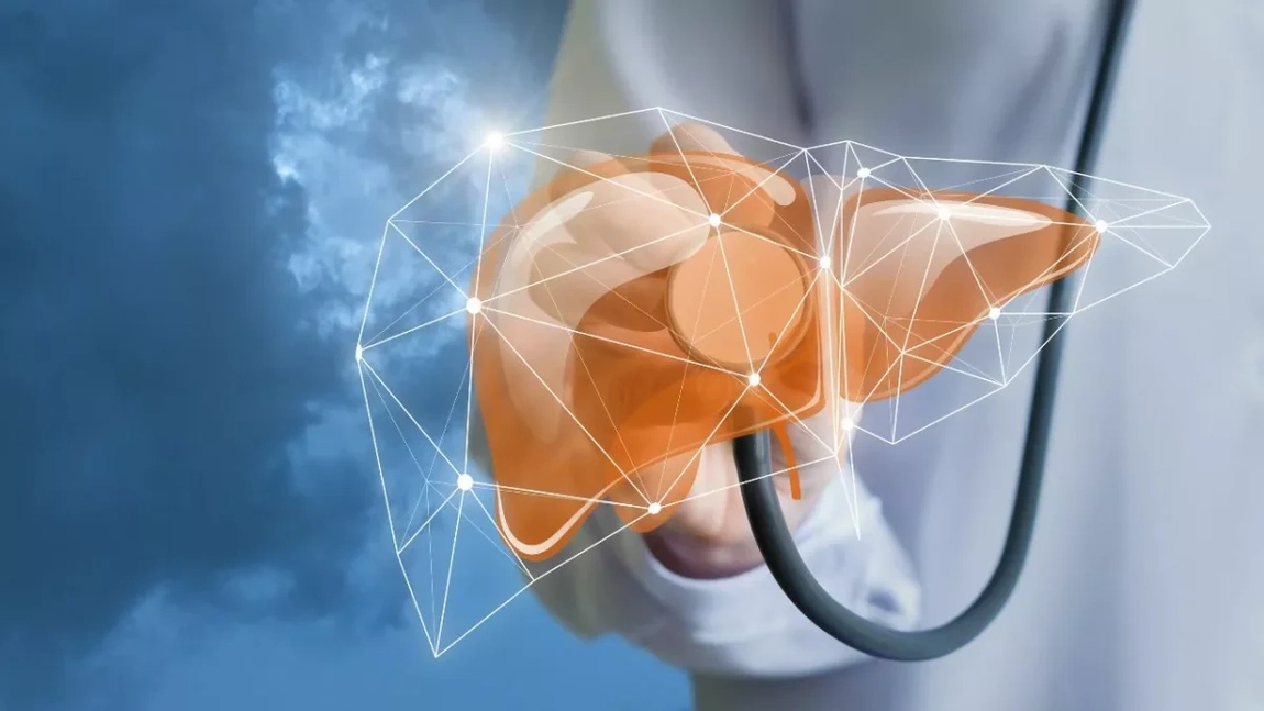 Eliminare rapidă lichid ascită. Efectele pelinului în ciroza hepatică