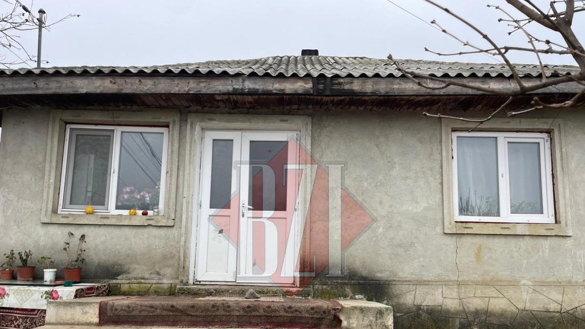 Crimă oribilă la Iaşi! O femeie i-a tăiat gâtul soţului. Criminaliştii au împânzit zona - FOTO, EXCLUSIV, UPDATE