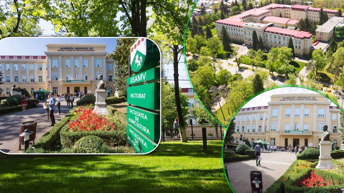 Pregătiri pentru etapa de admitere la universitate în Iași, anul 2024! Universitatea de Științele Vieții, prima care a stabilit toate detaliile