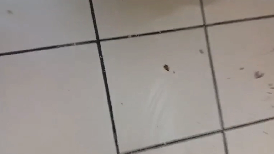 Trei restaurante tip fast-food au fost închise de Protecția Consumatorului. Mizerie, gândaci vii și mâncare expirată la mall-ul din Galați – FOTO, VIDEO