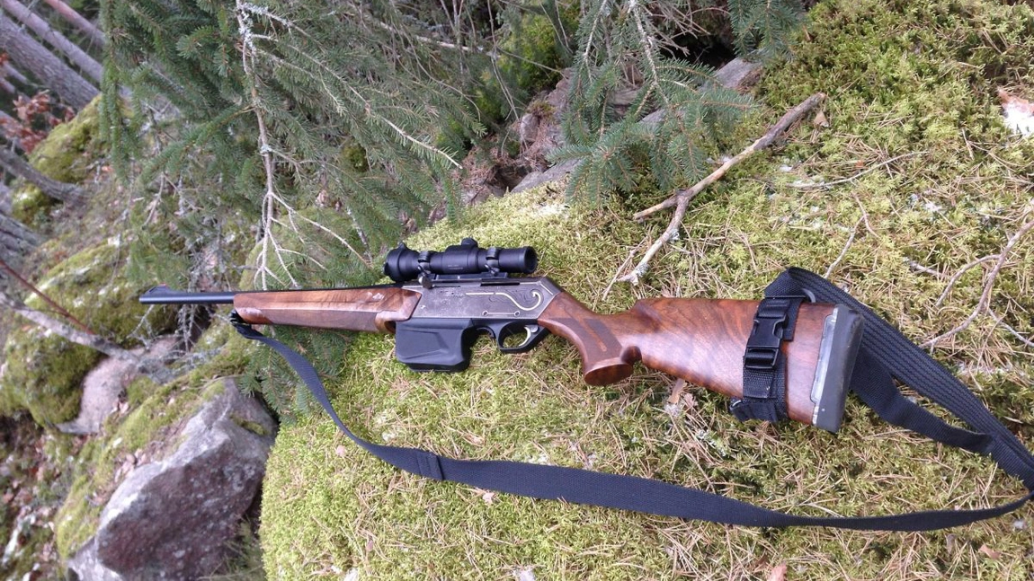 Doi bărbaţi, suspectaţi că au împuşcat patru câini, pe un câmp în judeţul Constanţa