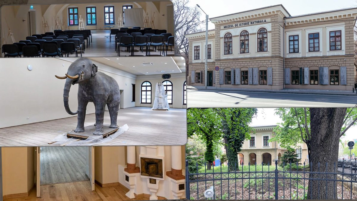 Prima expoziție permanentă din cadrul Muzeului de Istorie Naturală va fi deschisă publicului în anul 2025