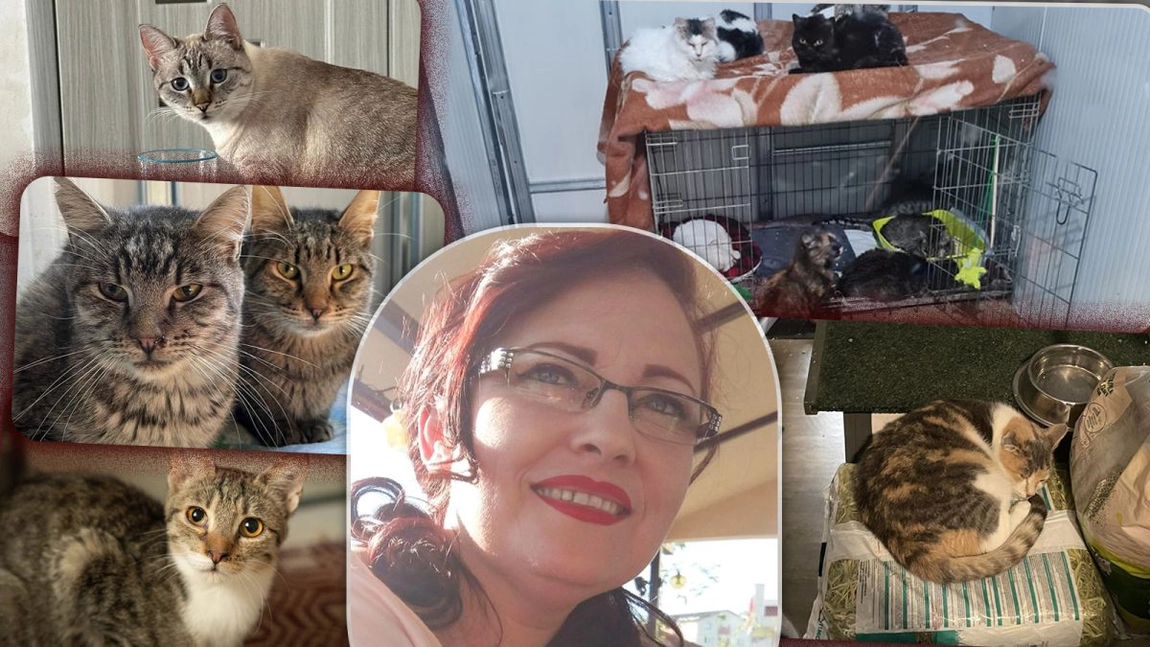 Scandal de proporții pentru 120 de pisici! Proprietara unui adăpost de animale este linșată de colaboratoarea sa: „E un focar de infecție și de chin!” - FOTO/VIDEO