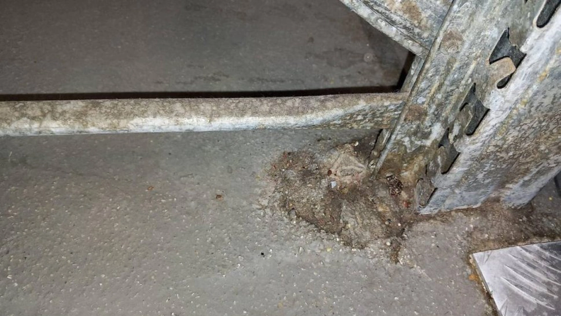Șeful Autorității Naționale pentru Protecția Consumatorilor (ANPC) a vorbit despre dezastrul găsit într-un cunoscut lanț de magazine din România: „Este deja prea mult” - FOTO