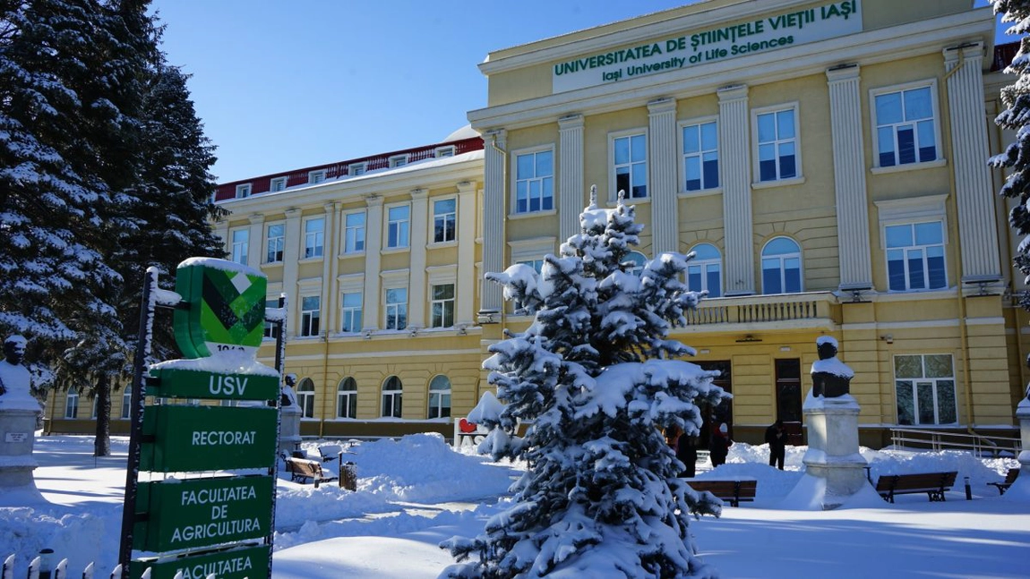Strategii pentru învățare oferite studenților aflați în sesiune, la USV Iași