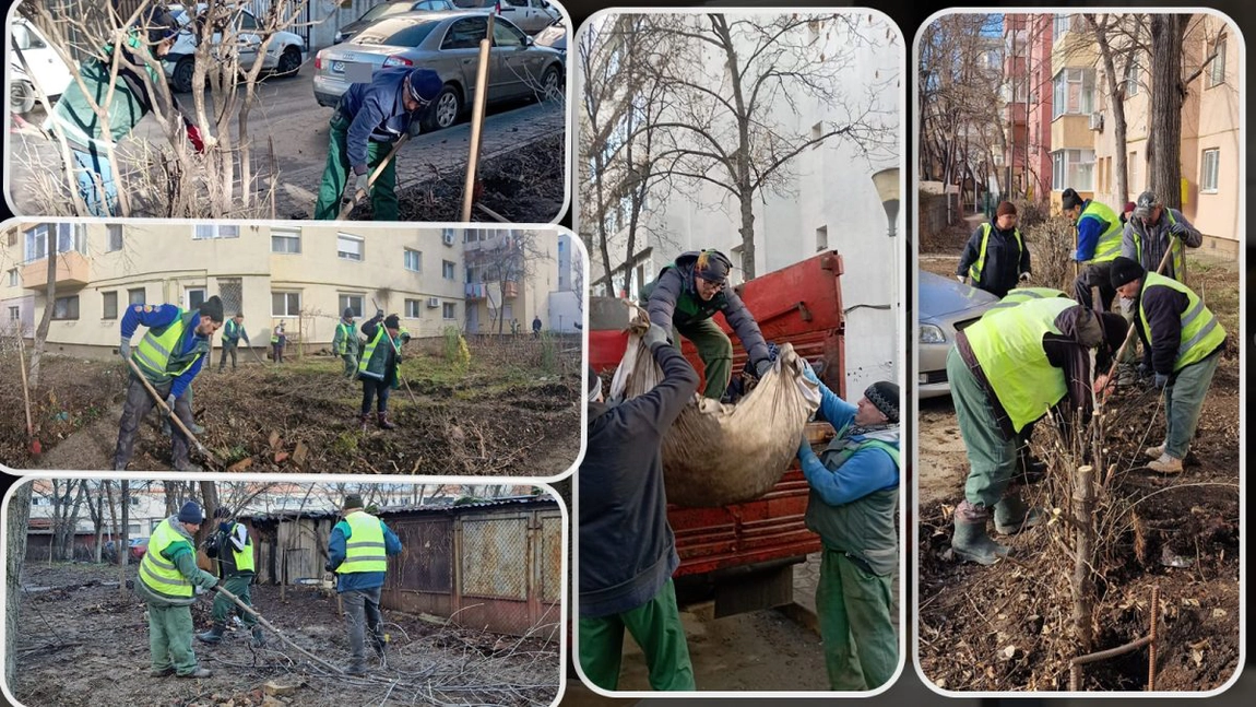 Spațiile verzi din Iași vor arăta complet diferit în această primăvară. Angajații de la Servicii Publice au început lucrările în 8 cartiere din municipiu - FOTO