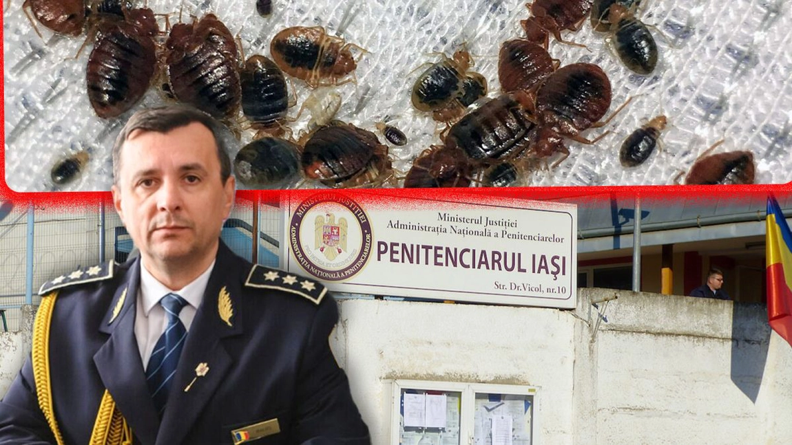 „Lagărul” din Copou. Deținuții din Penitenciarul Iași spun că sunt atacați de ploșnițe și sunt obligați să trăiască în condiții inumane