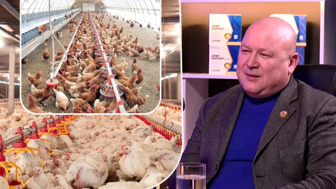 Leonard Stafie, specialist în domeniul avicol: „Anul 2024 va fi dificil! Va fi o creștere de preț” - FOTO/VIDEO
