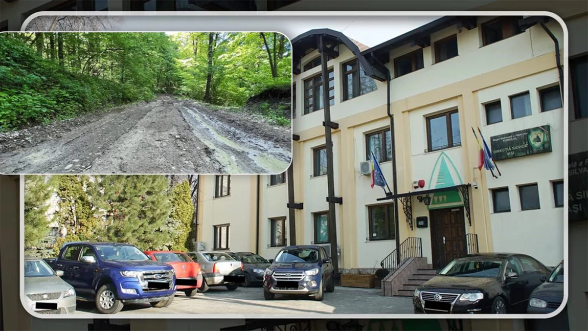 Romsilva amenajează un drum forestier din Iași. Contractul de 500 de mii de euro a fost câștigat de firma Buldex Construct