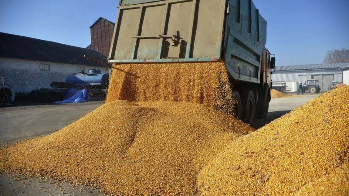 Tupeul Ucrainei ia amploare: cere Poloniei să ia măsuri contra fermierilor polonezi care aruncă din mijloacele de transport cerealele ucrainene