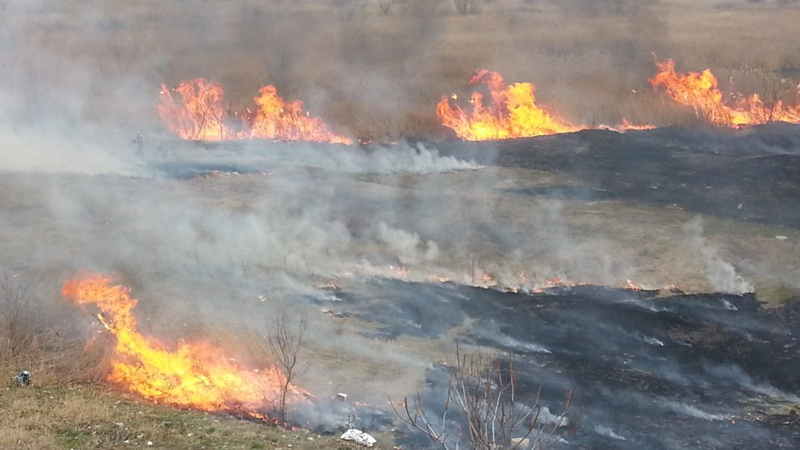 Incendii de vegetație uscată, în județul Iași. Pompierii intervin - UPDATE