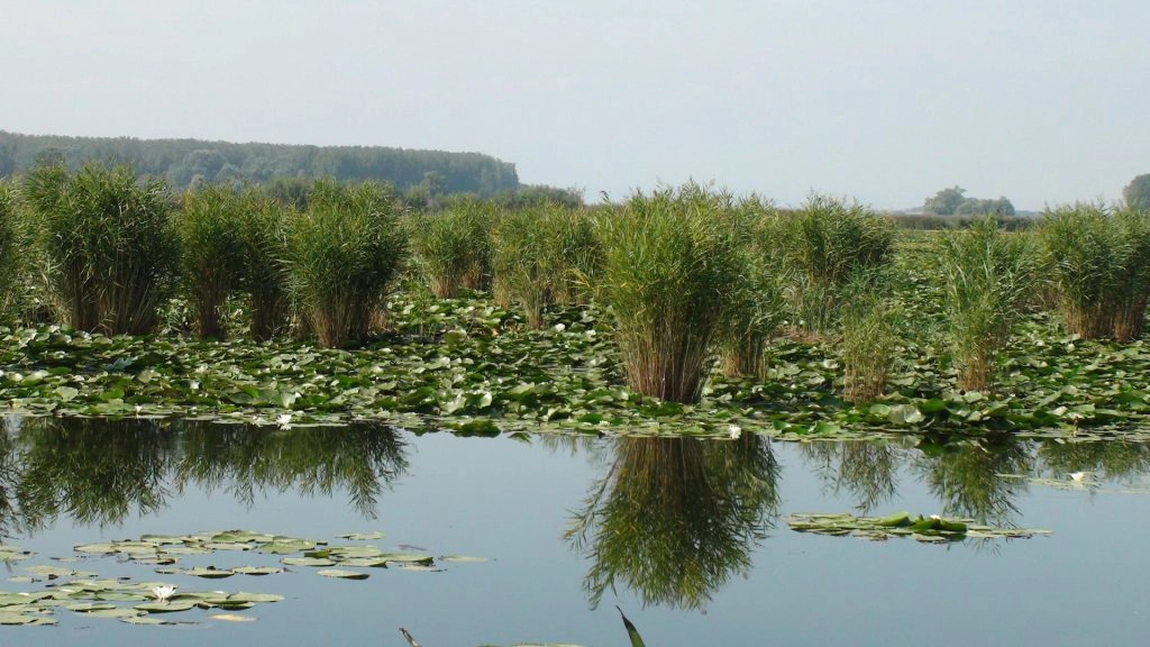 La Iași se celebrează Ziua Mondială a Zonelor Umede