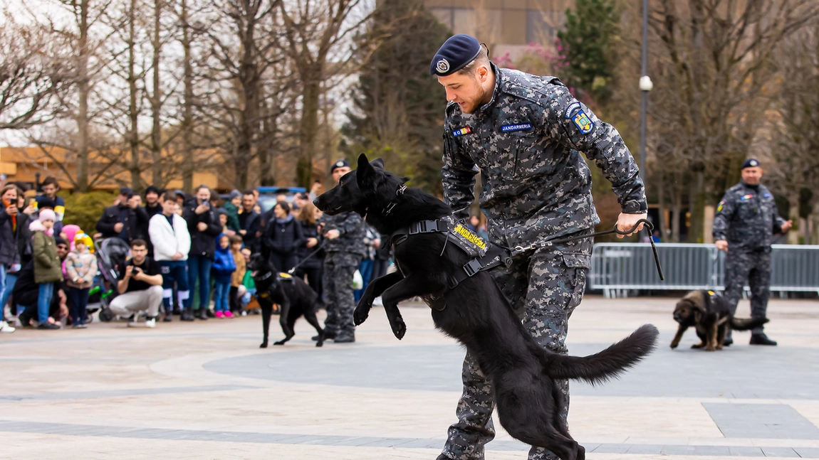 Traseu aplicativ pentru copii, coborâri în rapel, dresaj canin și alte surprize de Ziua Jandarmeriei, dar și Târg de Artă și Antichități, în acest weekend la Palas