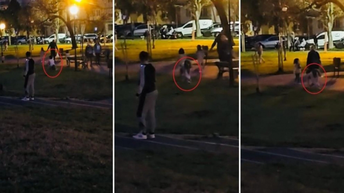 O nouă modă bizară în rândul adolescenților. O fată din Arad s-a costumat în pisică și a atacat un câine, într-un parc - VIDEO
