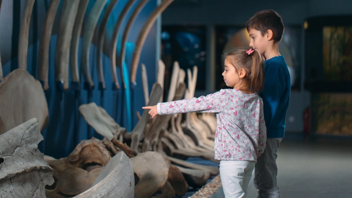 S-a decis! Tinerii sub 18 ani au acces gratuit la aceste importante instituții