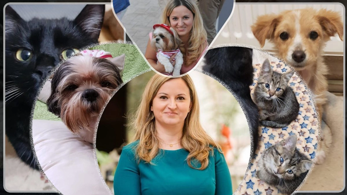 Acest profesor de la USV Iași este un exemplu demn de urmat! Are peste 20 de animale de companie salvate de-a lungul anilor: „Ele sunt antidepresivul meu natural într-o lume care ușor și sigur o cam ia razna” - GALERIE FOTO/VIDEO