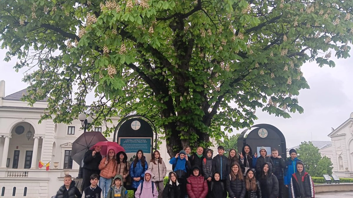 Campania de informare-conștientizare a APM Iași pentru Săptămâna Verde