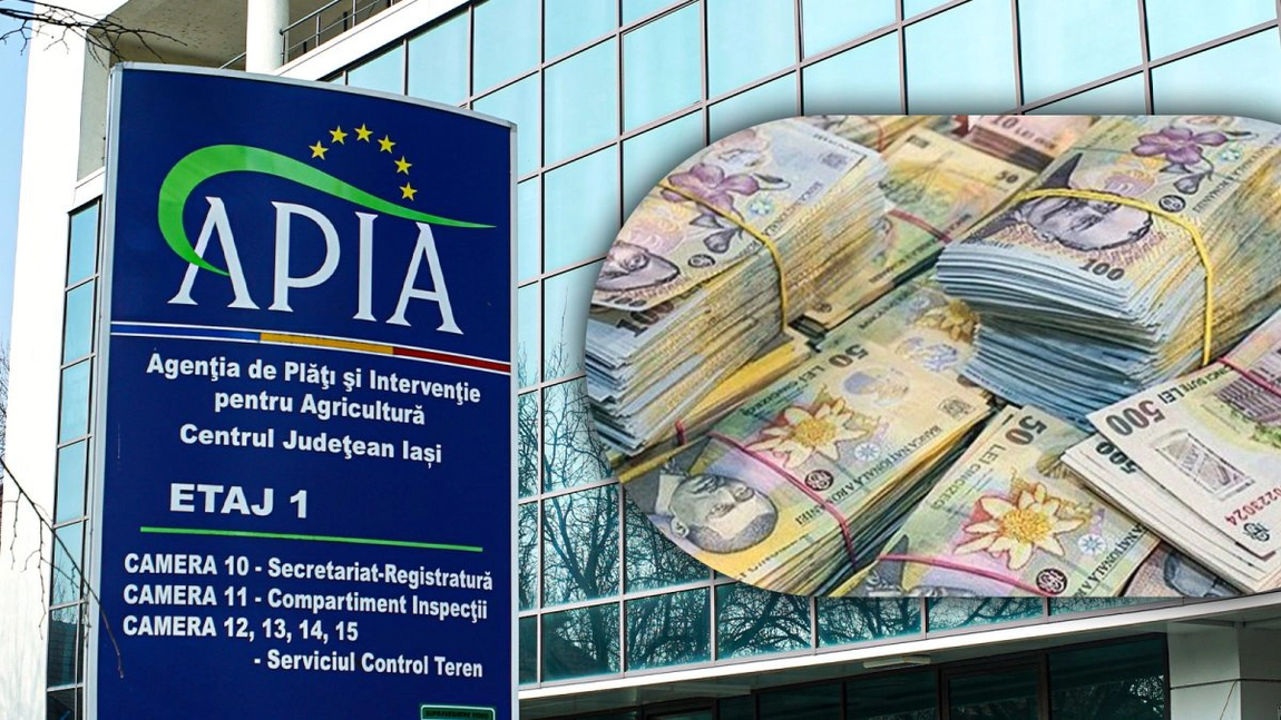 Bani pentru fermierii din Iași! APIA efectuează plăți către beneficiarii din sectorul zootehnic