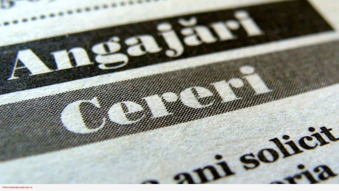 Jobul din România care este plătit cu 3000 de euro dar nu se găsesc muncitori! Patronii sunt disperați