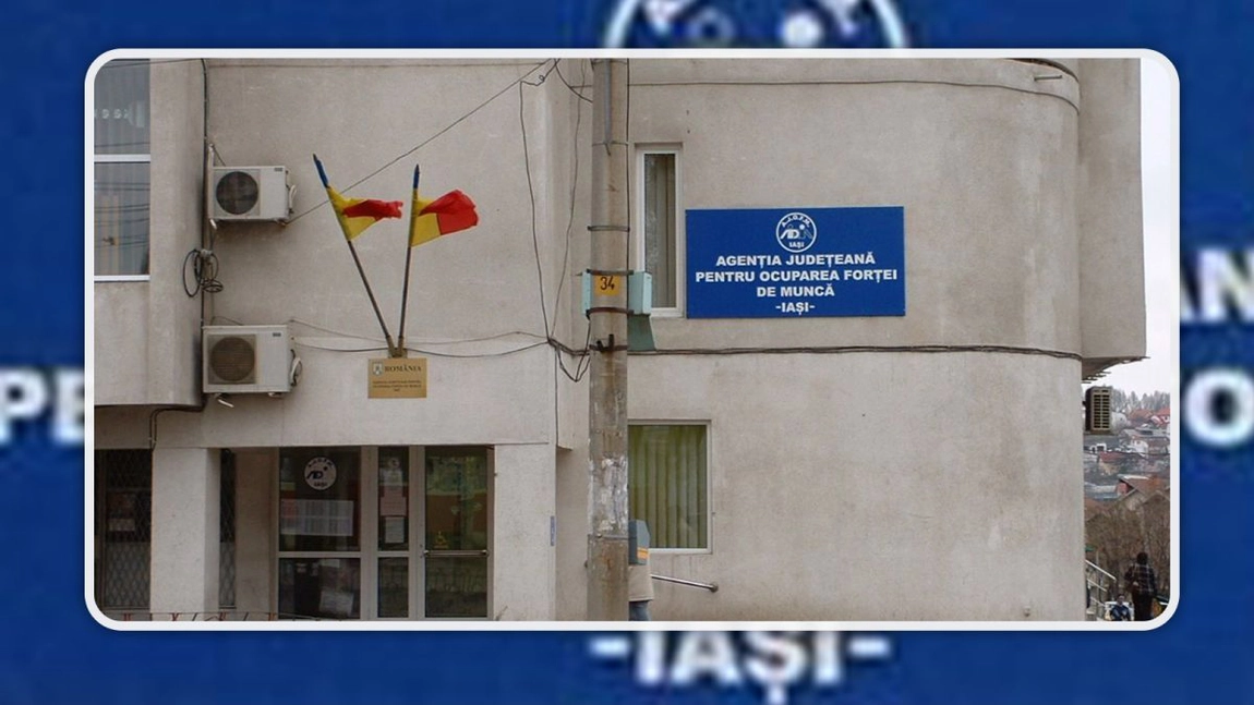 Noi locuri de muncă în Iași și în străinătate! Ce oferte au angajatorii pentru persoanele cu studii medii sau superioare