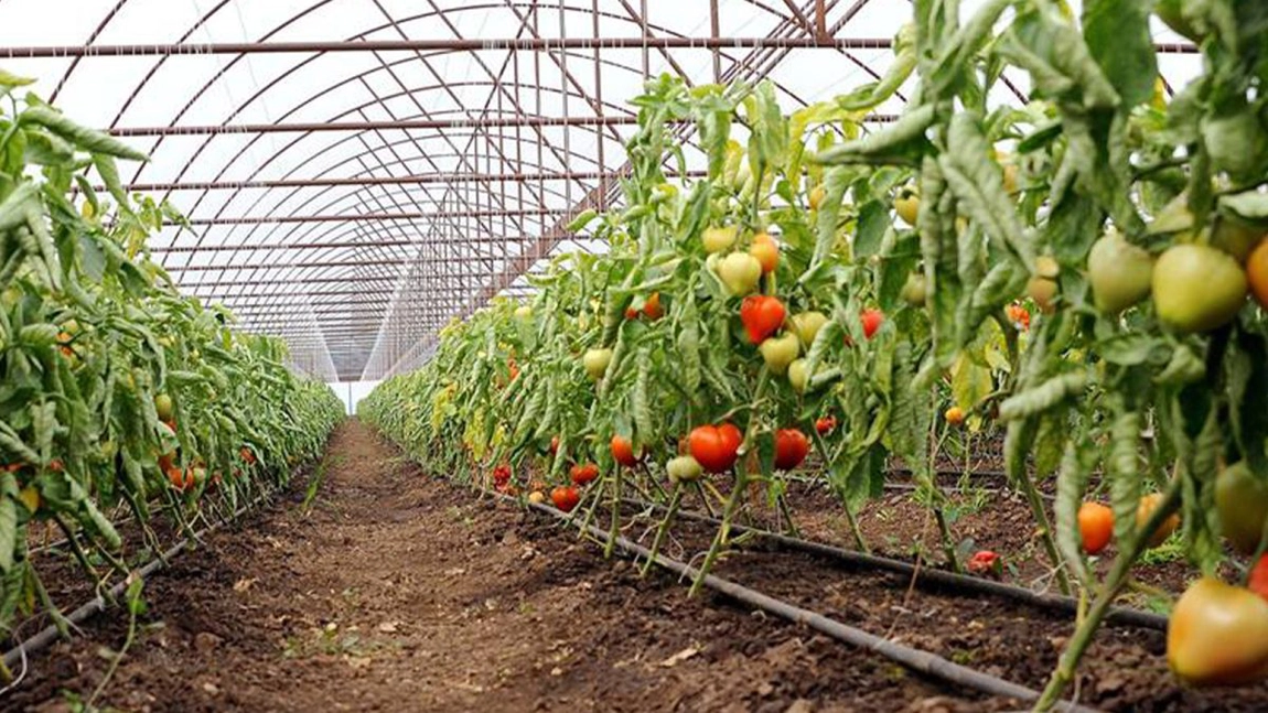 Fermierii din Iași care vor ajutorul de 1.500 de euro sunt verificați de APIA și Direcția Agricolă - FOTO