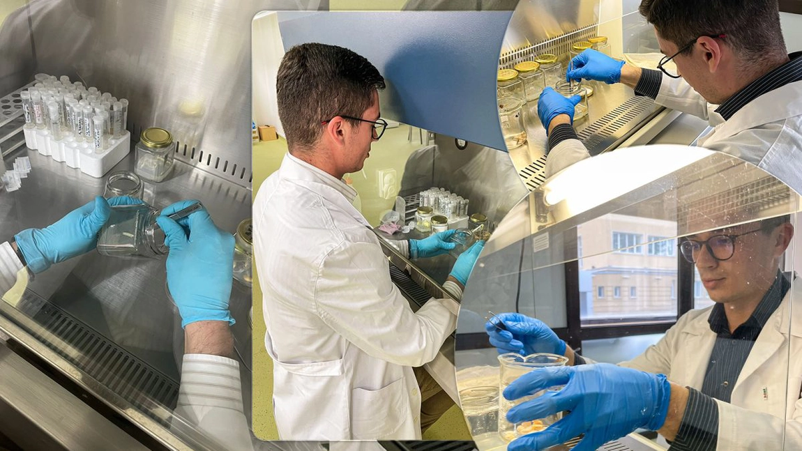 Într-un laborator al unei universități din Iași, un tânăr cercetător a reușit să realizeze o adevărată minune. Rezultatul întrece orice imaginație: „Lucrez la experiment de o lună” - FOTO