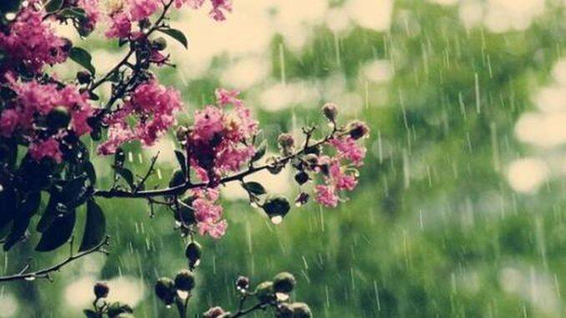 Cum va fi vremea în următoarele două săptămâni. Meteorologii au făcut anunțul