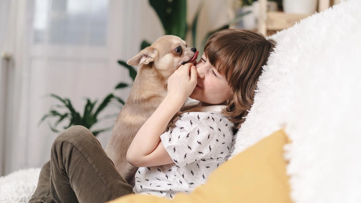 Alergiile la animalele de companie. Cum îți dai seama că al tău copil este alergic