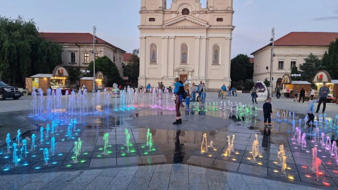 Cum a fost sancționată o femeie ce și-a spălat covoarele într-o fântână arteziană din Arad