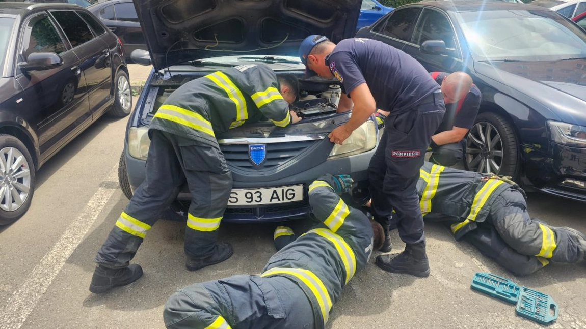 Pisică salvată de pompierii ieșeni! Felina era blocată în zona compartimentului motor al unui autoturism - FOTO