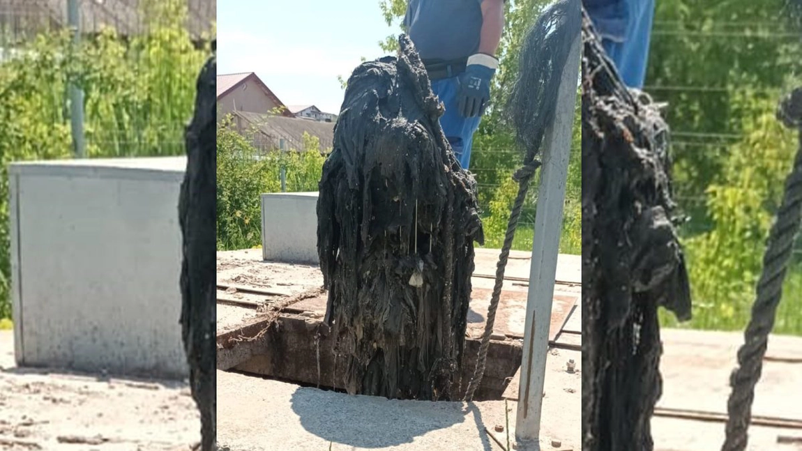 Muncitorii de la ApaVital au rămas fără cuvinte când au făcut o verificare la o stație de pompare din Iași. Iată ce au descoperit