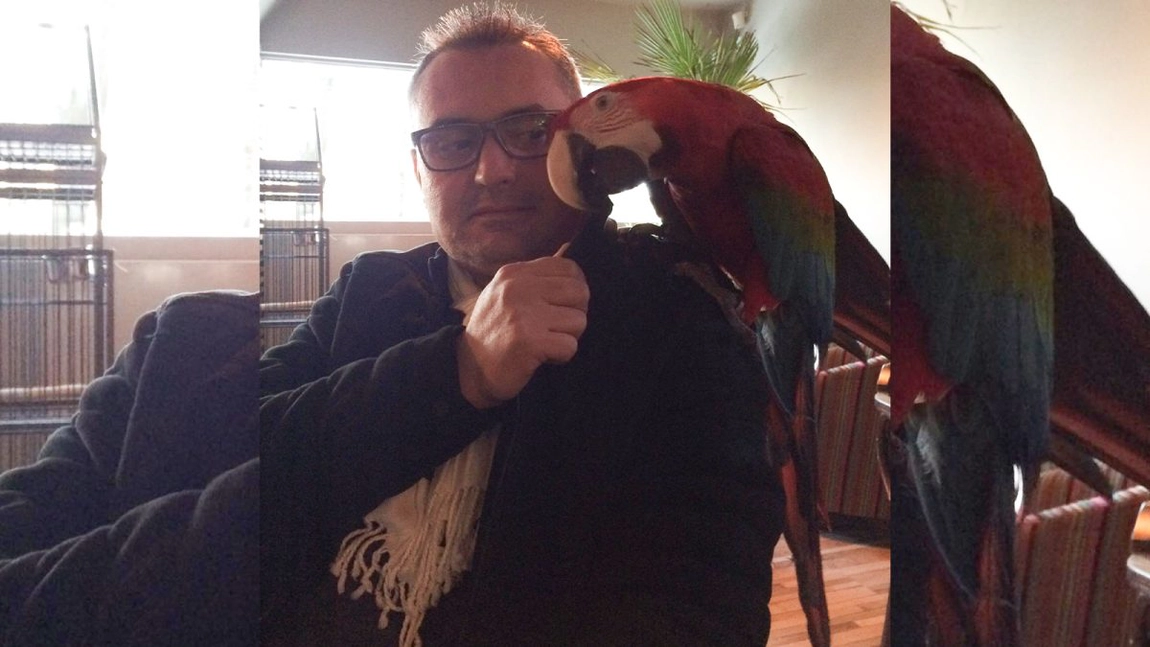 Țeparul de la Barbati LTD și-a băgat firma în insolvență și a fugit din țară! „S-a apucat de săpat șanțuri prin Germania” - FOTO