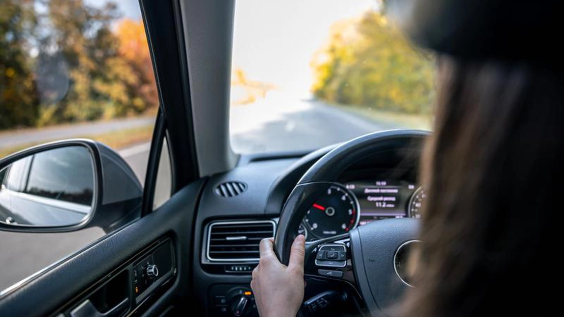 Țara în care primești amendă dacă ți-a intrat o viespe în mașină în timp ce conduci. Iată motivul uluitor