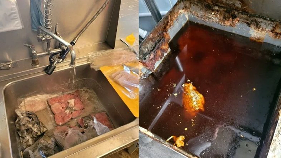 E jale pe Litoralul românesc, la unitățile de alimentație publică! Ce au putut să găsească inspectorii sanitari veterinari întrece orice imaginație!