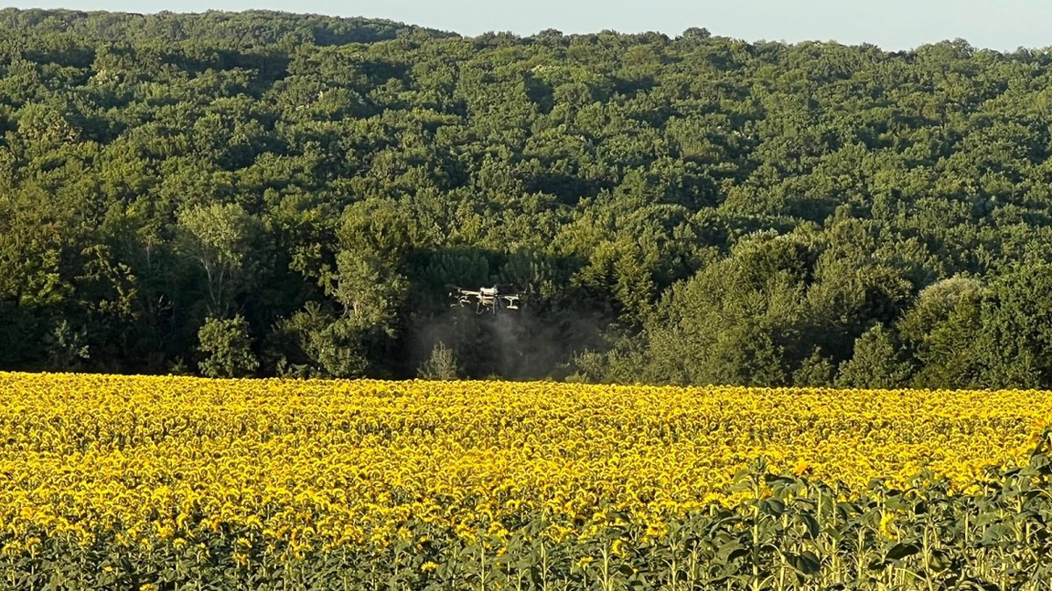 Drone în fermele din Iași! Tot mai mulți agricultori folosesc aceste tehnologii. Cezar Musteață: „E mai avantajos”