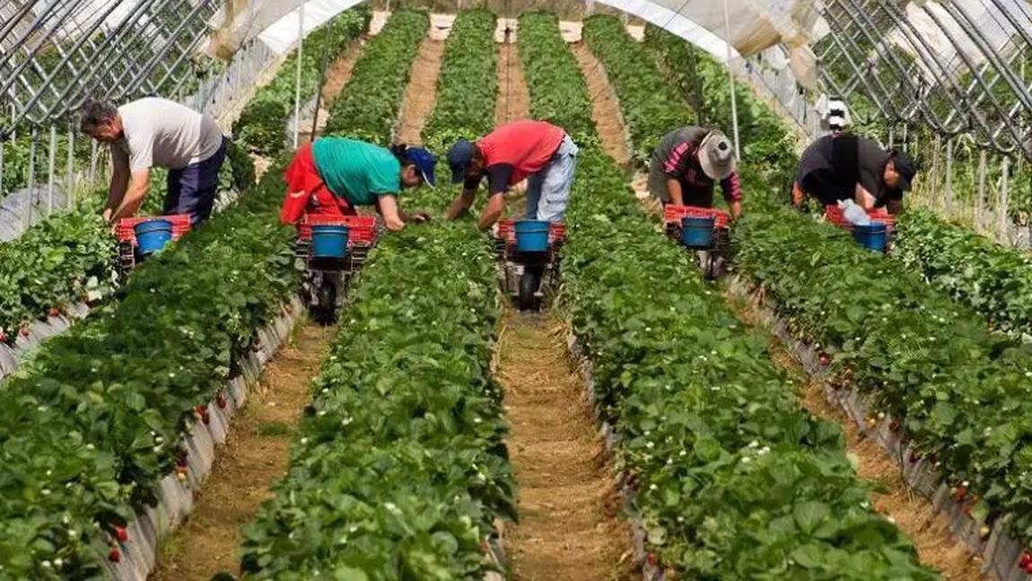 Peste 2.000 de locuri de muncă în străinătate pentru români! Salariile pot ajunge și la 6.000 de euro
