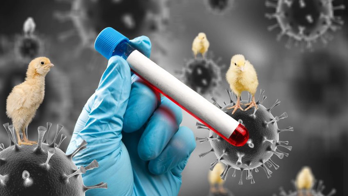 O nouă pandemie lovește lumea! Au început să cumpere milioane de doze de vaccinuri