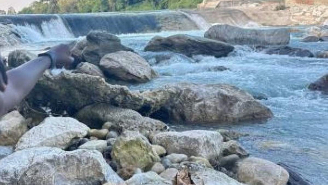 Încă o tragedie s-a produs în Italia! Un șofer roman de doar 32 de ani a murit înecat