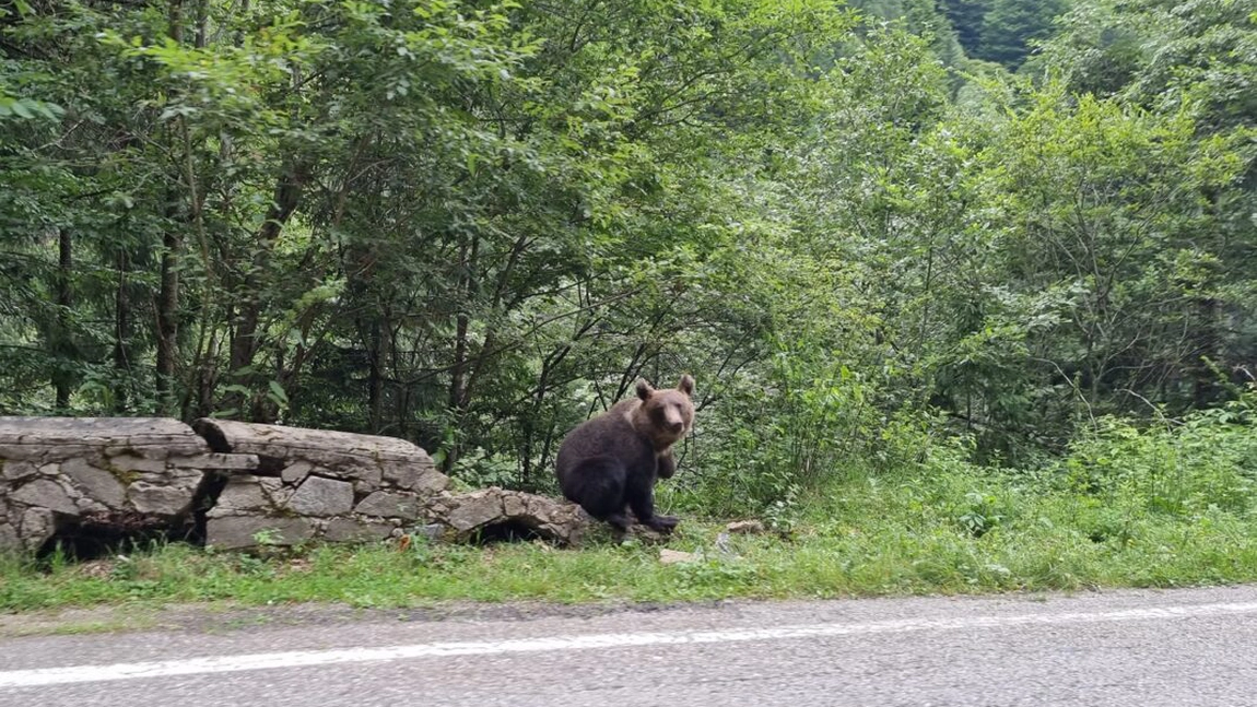 Turiștii români care merg în vacanță trebuie să țină cont de noua lege! Se dau amenzi mari dacă fac asta