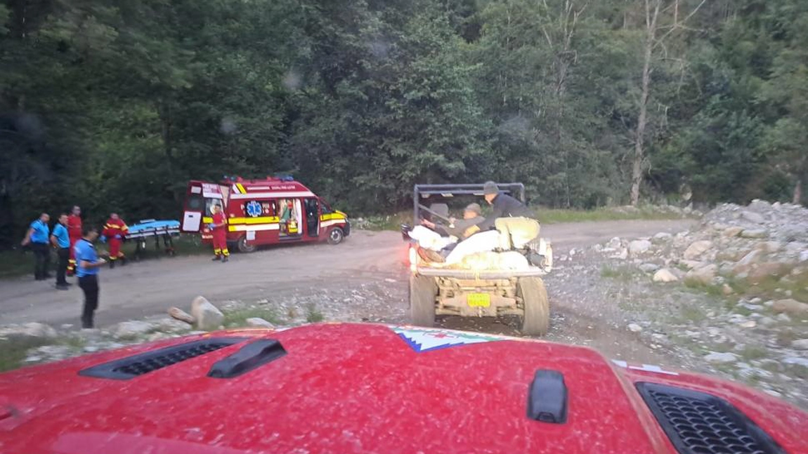 Cioban mușcat de urs, în timp ce încerca să își apere oile