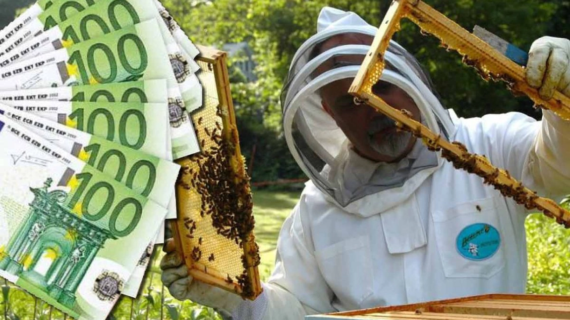 Apicultorii din Iași se pot înscrie în agricultura ecologică. Subvențiile pentru producătorii ecologici sunt mai mari
