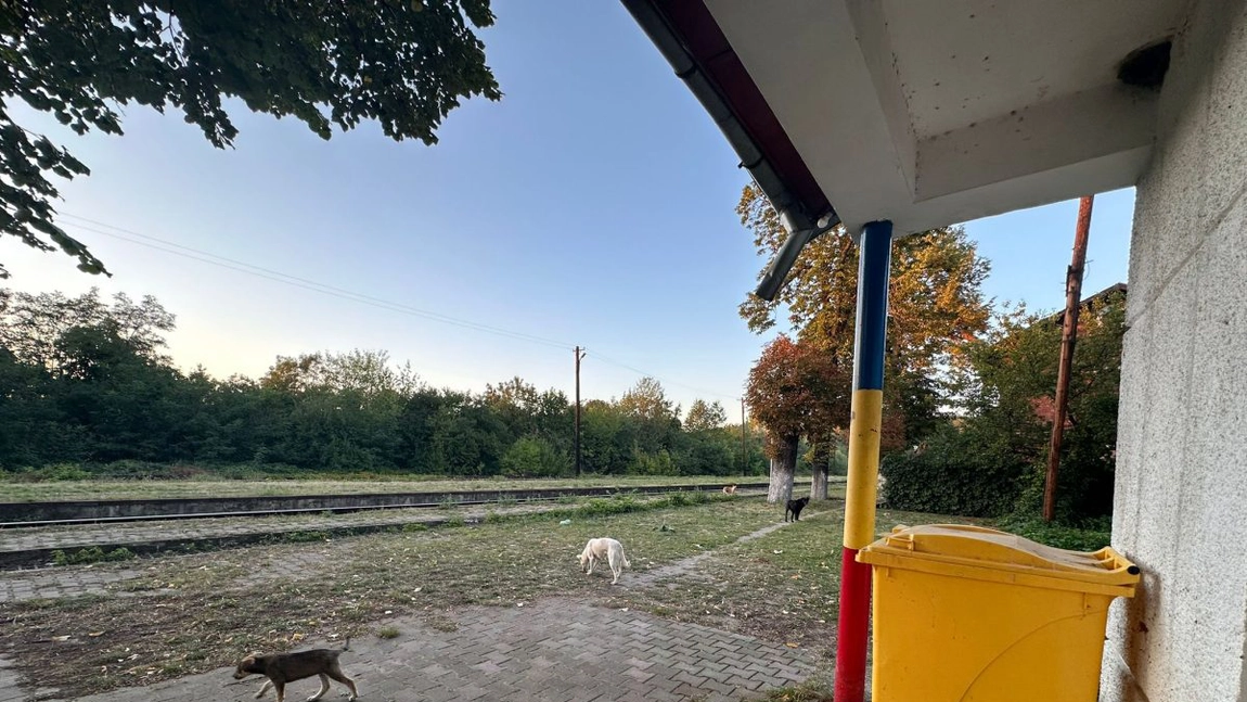 Imagini dezolante! Stimați șefi ai CFR, mișcați-vă fundurile din birouri și vedeți realitatea din teren. Gara Bârnova se dărâmă, iar directorul de la Iași este ținut în brațe de superiorii de la București