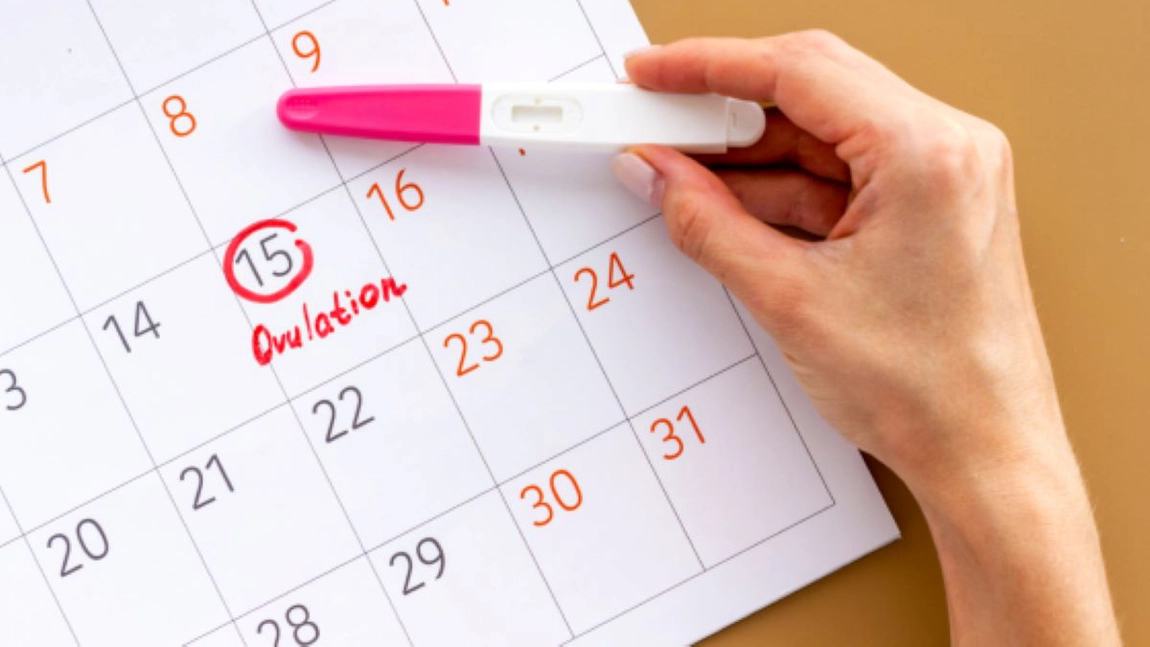 Ce înseamnă ovulație? Cum știi că ești în perioada fertilă a lunii