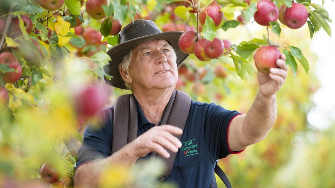 Sapte activități distractive pentru weekendurile din această toamnă