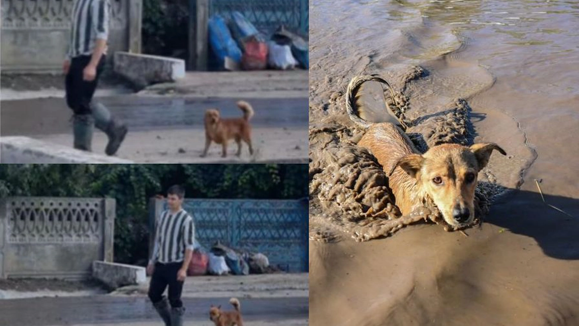Povestea emoționantă a lui Piki, câinele care și-a salvat stăpânul din inundațiile de la Galați! Ionuț are deficiență de auz și folosește aparat auditiv
